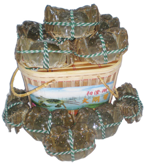 无肠公子大闸蟹1588型礼盒