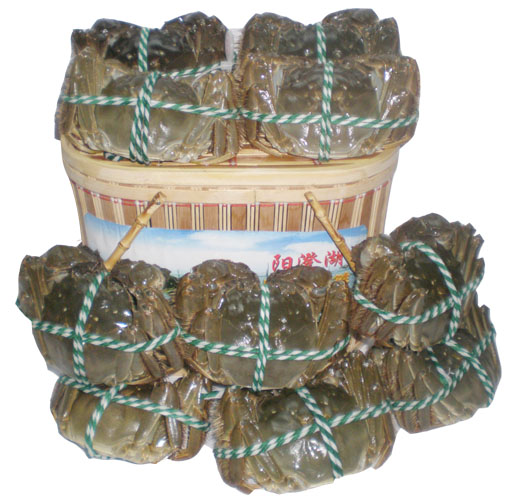 无肠公子大闸蟹1188型礼盒