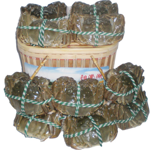 无肠公子大闸蟹888型礼盒