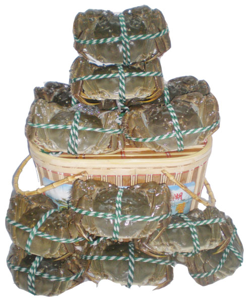 有机阳澄湖大闸蟹988型蟹劵