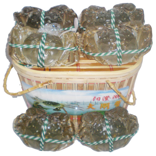 阳澄湖大闸蟹588型精品蟹劵