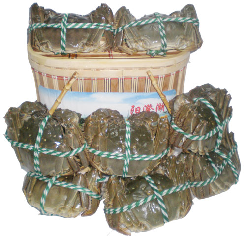 阳澄湖大闸蟹688型套餐