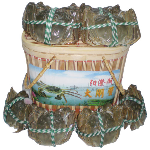 阳澄湖大闸蟹688型精品蟹劵