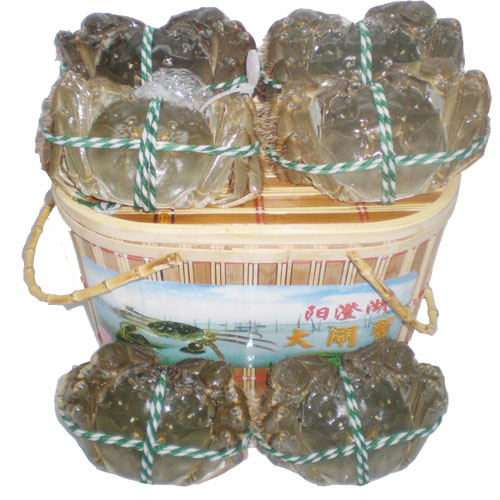 阳澄湖大闸蟹588型礼品套卡